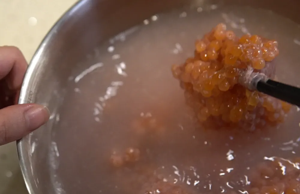 用筷子夹住生鲑鱼子筋膜中间