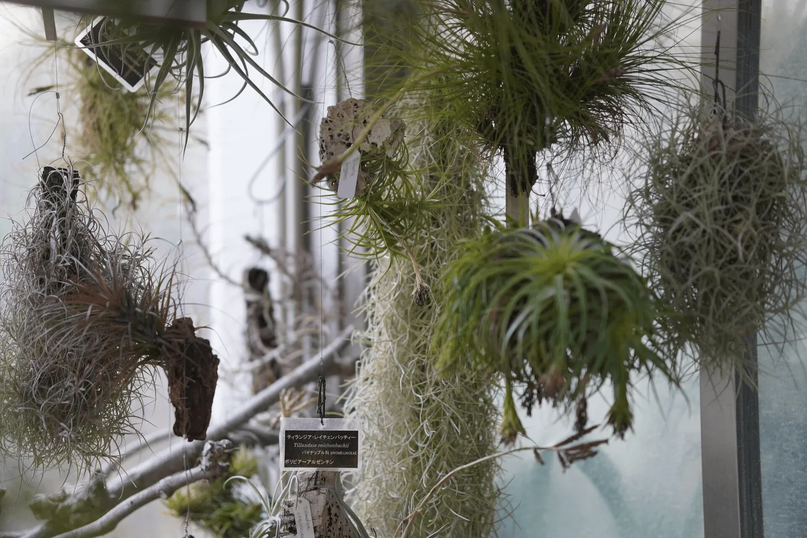 细节特写 1