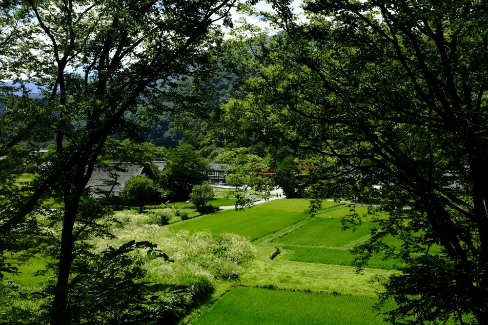 白川乡 1