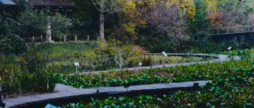 国立科学博物馆筑波实验植物园