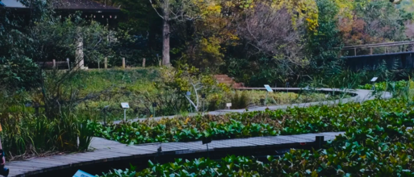 国立科学博物馆筑波实验植物园