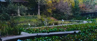 Tsukuba Botanical Garden