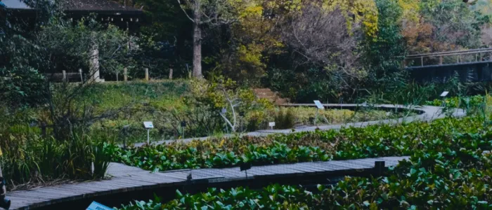 日本国立科学博物馆 筑波実験植物園