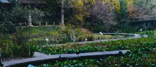 国立科学博物馆筑波実験植物園